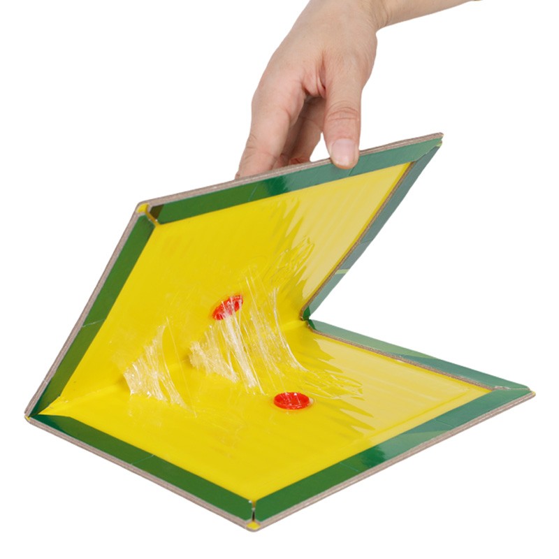 Product Image Gallery