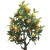 Xiang Rui Artificial Plant Potted Mango Fruit Simulation the Mango Tree Guest Restaurant Decoration Garden Engineering Landscaping Factory Direct Sale