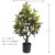 Xiang Rui Artificial Plant Potted Mango Fruit Simulation the Mango Tree Guest Restaurant Decoration Garden Engineering Landscaping Factory Direct Sale