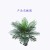 Xiang Rui Artificial Plant Single Pole Small Kwai Tree Green Plant Home Living Room Ornament Garden Engineering Landscaping Decoration Factory Direct Sale