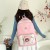 Schoolbag Korean Style Student Backpack Ins Style Large Capacity Cute Wild Backpack Wholesale 6713