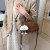 New Trendy Women's Bags Crossbody Bag Small Bag Shoulder Bag Underarm Bag High Sense Commuter Bag Wholesale 9910