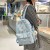 Backpack Student Schoolbag Girls Cute Wild Large Capacity Simple Travel Backpack Wholesale 0229