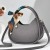 Factory New High-End Fashion bags Fashion Handbag  Fashion Underarm Bag Trendy Women Bag