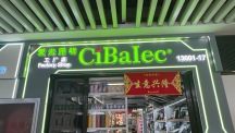 征西电气