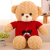 Sweater Bear Cartoon Little Bear Plush Toys Cute Dressed Bears Plush Toy Doll Cute Animal Children Doll
