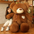Plush Bear Doll Toy Doll Doll for Babies Pillow Children's Gift Bear Toy Sitting Bear Toy Pillow