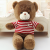 Children's Cotton Stuffed Plush Toy Sitting Cartoon Toy Pillow Weiyou Bear Toy Pillow Child Bear Cushion