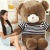 Bear Plush Toy Doll Luminous Bear Doll Children's Gift Panda Toy Pooh Bear Big Bear Cartoon