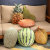 Creative 3D Simulation Watermelon Strawberry Fruit Pillow Back Cushion/Seat Cushion Plush Toy Office Siesta Pillow Removable and Washable