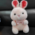 8-Inch Crane Machines Doll Plush Toys Wedding Favors Drip Annual Meeting Event Gift 8-Inch Prize Claw Doll
