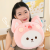 Winter Hand Warmer Pillow Cute Girl's Plush Toy Hand Warmers Hand-Covering Dormitory Multi-Functional Soft and Adorable Pillow