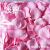 Non-Woven Fabric Arrangement Pack 100 Pieces Artificial Rose Petals Wedding Ceremony and Wedding Room Decoration Wedding Supplies Wholesale