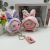 Cute Piglet Plush Doll Keychain Naughty Pig Children's Schoolbag Pendant Ornaments Crane Machine Supply Wholesale