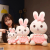 Plush Toy European Mink Rabbit Dress Bunny Plush Doll