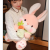 Cute Radish Rabbit Plush Toy a Ni Rabbit Holding Radish Plush Doll