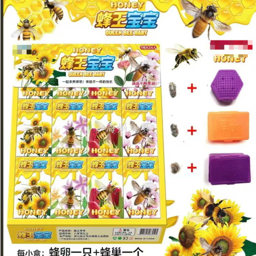 24入盒装蜂王宝宝 蜂卵 蜜蜂宝宝 养了个蜂