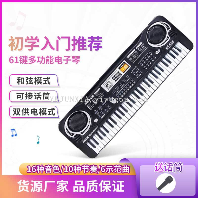 Children's Multifunctional Toy Factory Direct Sales Electronic Keyboard Children's Musical Instrument Practice Early Education Enlightenment Toys