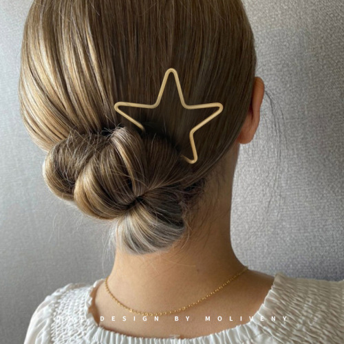 simple and Stylish Girl‘s Back Hair Updo Artifact Hairpin Cute Headdress Temperament Metal Chopsticks Hair Accessories Hair Plug