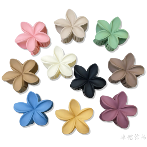 europe and america cross border frosted rubber paint plumeria rubra grip seaside holiday barrettes updo shark clip hair accessories wholesale for women