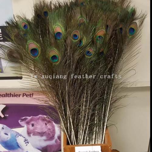 factory supply in stock peacock fur 80-90cm peacock feather wholesale ornament accessories feather diy decoration