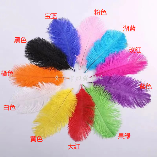 Spot 15-20cm Colorful Camel Feather DIY Hair Accessories Plug-in Accessories Wholesale Feather Decoration Factory Direct Sales