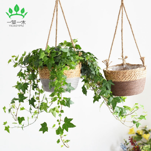 straw woven flowerpot hanging basket chlorophytum comosum flower pot hanging hanging wall-mounted hanging pots flower ware home decorative flower basket flower pot