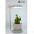 New Hot Sale Led Full Spectrum Plant Light Indoor Circulation Flower Fill Light Growth Lamp