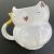 Creative Cat Mug Ceramic Water Cup Coffee Cup Cartoon Meow Drinking Cup Office Water Cup Pet Ceramic Water Cup