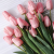 INS Style Artificial Flower Soap Flower Tulip Living Room Table Decoration Photo Mother's Day Valentine's Day Gift