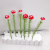 Red Mushroom Decorative Crafts Garden Flower Bed Floor Outlet Grass Garden Plug-in