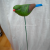 6-Inch New Long Tail Bird Garden Plug-in Decorative Crafts