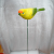 6-Inch New Long Tail Bird Garden Plug-in Decorative Crafts