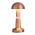 Retro Metal Table Lamp Decorative Bar Touch Induction Dumbbell Table Lamp Cafe Bedside Mushroom Charging Small Night Lamp