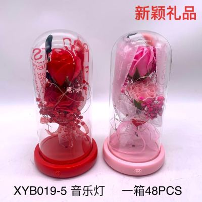 Spanish Mother's Day Rose Carnation Preserved Fresh Flower Led Music Lamp Glass Cover Ornaments Holiday Gift