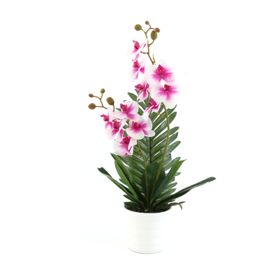 Nordic Style Ins Orchid Green Plant Artificial Flower Vase Decoration Living Room Sample Room Hotel Room Soft Outfit Decorations