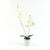 Phalaenopsis Artificial Flower Plant Bonsai Wedding Celebration Decoration Ins Style Simulation Plant Wall Home Desktop Decoration Bonsai
