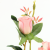 Three-Head Small Rose Bonsai Creative Factory Direct Supply Fake Flower Artificial Creative Home Decoration Indoor Decoration Props