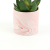 Creative Gift Mini Home Desktop Decoration Simulation Pot Decoration Home Gardening Resin Succulent Small Flower Pot