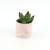 Creative Gift Mini Home Desktop Decoration Simulation Pot Decoration Home Gardening Resin Succulent Small Flower Pot