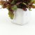 Amazon Spot Mini Simulation Pot Combination Desktop Artificial Flowers Cross-Border Mini Ceramic Basin Artificial Small Pot Plant