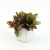 Amazon Spot Mini Simulation Pot Combination Desktop Artificial Flowers Cross-Border Mini Ceramic Basin Artificial Small Pot Plant