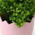 Artificial Pot Cross-Border Desktop Plant Four-Leaf Clover Simulation Pot Semicircle Ceramic Basin Artificial Plant Small Bonsai