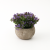 Spot Amazon Combination Simulation Pot Nordic Style Home Desktop Decoration Green Plant Mini Artificial Plant Bonsai