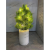 Amazon Spot Led Lantern Indoor Atmosphere Decoration Small Night Lamp Usb Creative Bedside-Use Flower Lamp Modeling Flower Plate Lamp