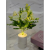 Amazon Spot Led Lantern Indoor Atmosphere Decoration Small Night Lamp Usb Creative Bedside-Use Flower Lamp Modeling Flower Plate Lamp