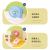 SQ2215-5 Simple Fashion Children Clip Desktop Small Fan Student Dormitory Gift Home Foreign Trade Electric Fan