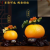 O-BODA COFFEE Resin Craft Ornament Auspicious Opening Home Decoration Lucky-Orange