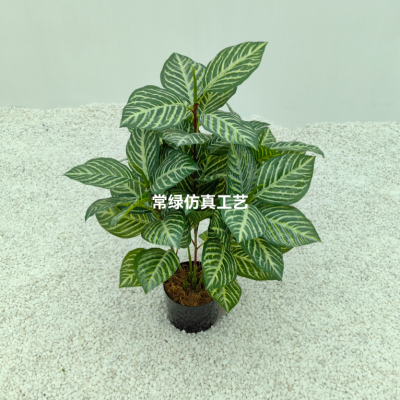 Imitative Tree Green Plant European-Style Five-Branch White Vein Zebra Leaf Pot