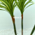 Imitative Tree Green Plant European-Style Short Three-Head Yellow Edge Ocean Iron Orchid Pot